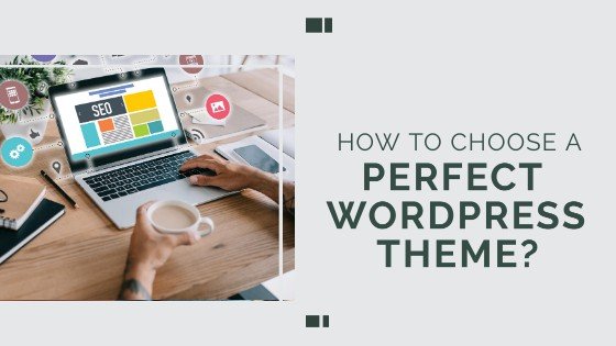 How to select the perfect WordPress theme in 2020?